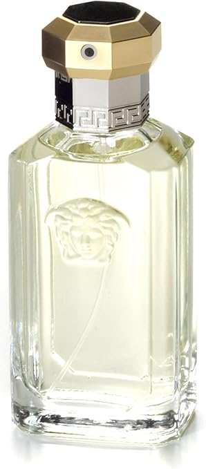 Versace The Dreamer pour homme Eau de toilette 100 ml