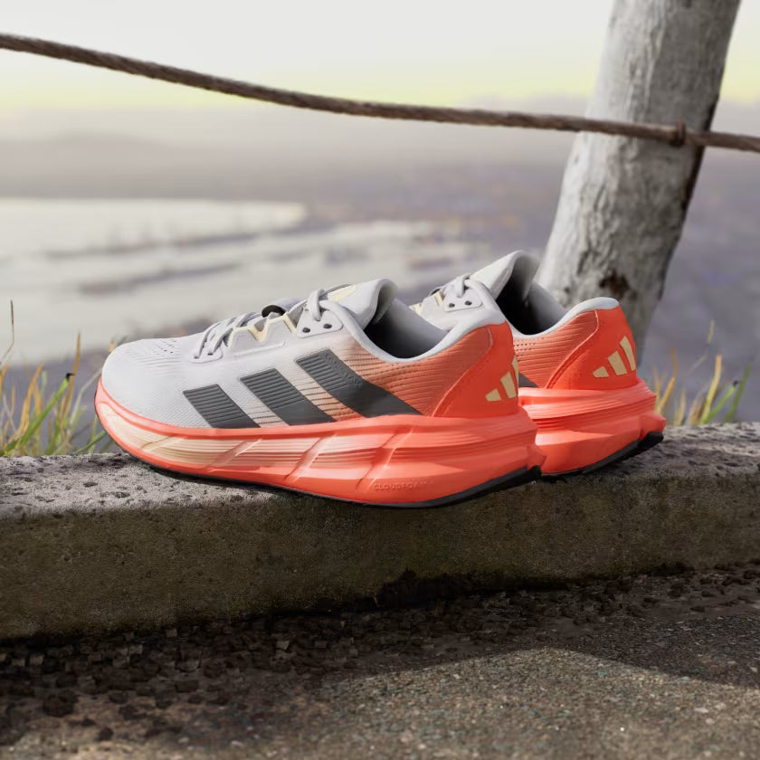 Chaussures de course  Adidas Questar 3